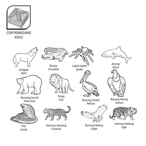 gambar haiwan karnivor  Contoh hewan karnivora adalah macan, buaya, singa, burung elang, dan lain-lain