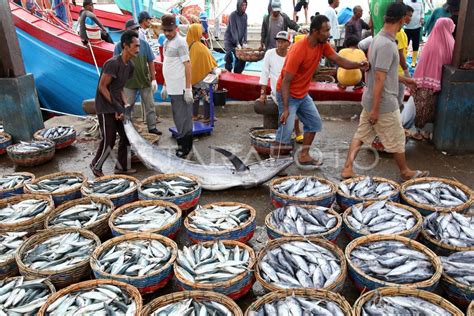 gambar perikanan laut  Peraturan Menteri Kelautan dan Perikanan Nomor 2 Tahun 2021 tentang Penyaluran Bantuan Pemerintah diBerikut ini Logo Gerakan Memasyarakatkan Makan Ikan (Gemarikan ) baru yang di Launching Menteri Kelautan dan Perikanan pada puncak Peringatan Hari Ikan Nasional (Harkannas) tanggal 21 November 2022