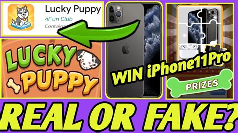 game lucky puppy  Lucky Puppy is the fun merge dog game in 2020