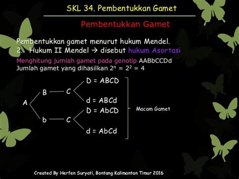 gamet yang dihasilkan dari individu dengan genotip pp adalah  A