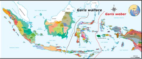 garis imajiner wallace WebGaris Wallace kita kenal sejak SD sebagai garis imajiner flora dan fauna