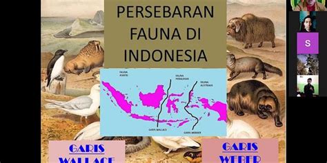 garis khayal yang memisahkan penyebaran fauna bagian tengah dan timur adalah Indonesia memiliki keanekaragaman jenis fauna yang dibedakan berdasarkan garis Wallacea dan garis Weber