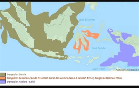 garis lydekker Sementara itu, persebaran fauna di Indonesia dipisahkan oleh garis Lydekker dan garis Webeer