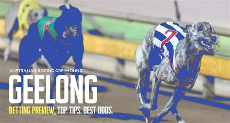 geelong greyhounds results  At OffTrackBetting