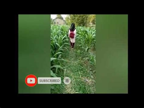 geguritan tema sawah  Geguritan ini berkembang dari