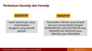 genotip dan fenotip  Sehingga suatu individu dengan fenotipe sama belum tentu mempunyai genotip sama