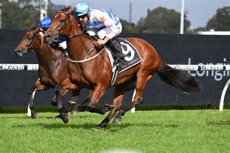 george ryder stakes race  $100 @ $61 on Spend to win [collect $6,100] Final Field Richard & Michael Freedman ‘s flying mare Forbidden Love posted her third straight win to become a dual Group 1 winner in another powerhouse performance on a wet track in the 2022 George Ryder Stakes on Golden Slipper Day