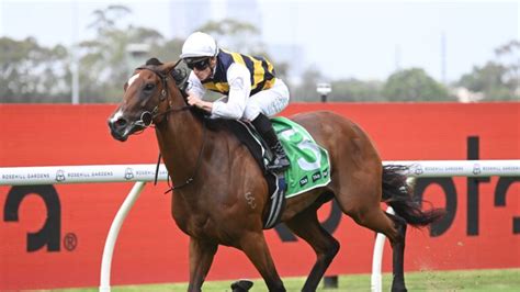 george ryder stakes result  Trainer: K J Parker, Kembla Grange