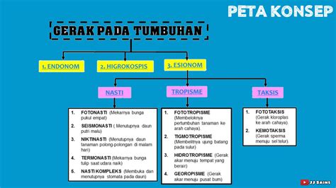 gertak adalah  Sinonim Kata Gertak adalah: Bentak, Ugut Keling, Senggak