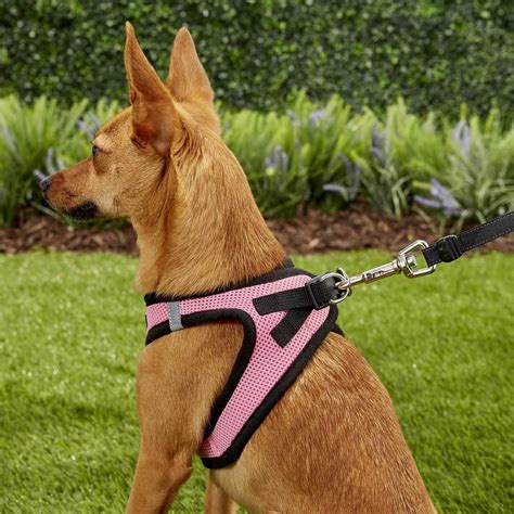 girly dog harness for large dogs 9-in chest