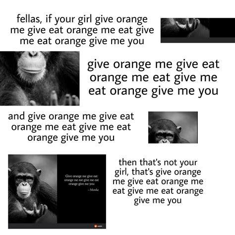give orange me give eat orange copypasta how did jemma donovan lose weight give orange me give eat orange copypasta“Give orange me give eat orange me eat orange give me eat orange give me you,” he said in his most elaborate string of words ever recorded