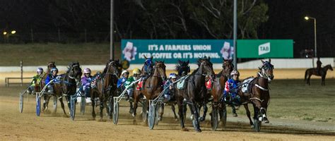 globe derby trots tonight  ASX - By Stock