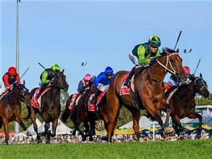 gold coast guineas race  Ridden a treat to win the Gold Coast Guineas first up from a spell for team Darley and was better again – despite not winning, when third (beaten ½ length) behind Platinum Kingdom in the G3 Fred Best Classic