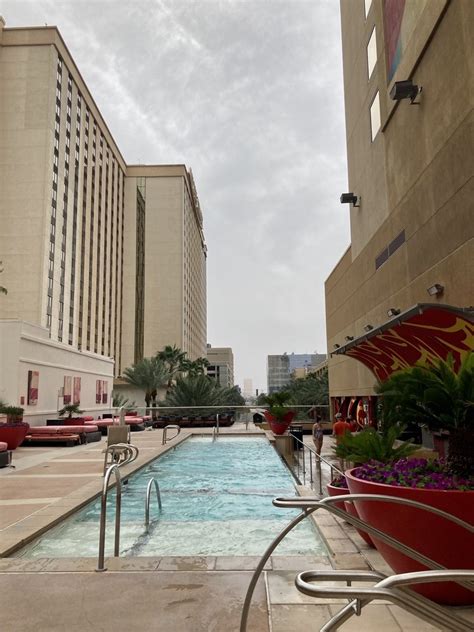 golden nugget pool reservations  Treat yourself to a little something Golden