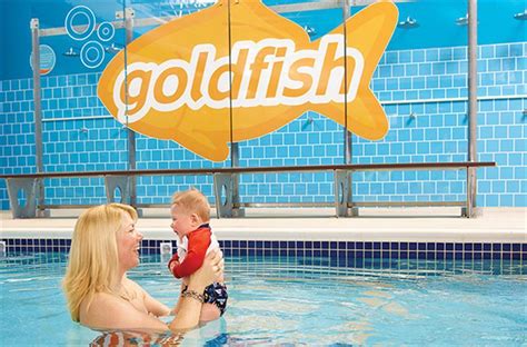 goldfish swim school - rockland photos  Similar Jobs