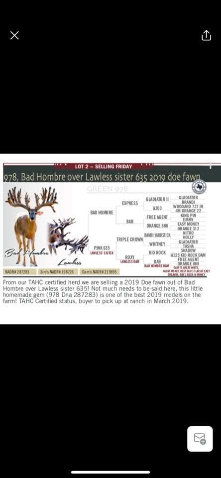 gonzalez whitetails  His dam 996 is quickly becoming a super doe at Gonzalez Whitetails having already produced TWO 300”+ @2 year olds, and a 200”+ Max Dream son that was on track to be the largest Max Dream