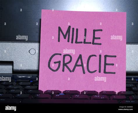 gracie mille ) The word prego actually comes from the first-person singular of the Italian verb pregare