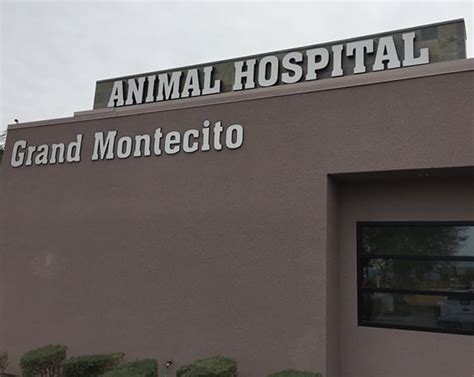 grand montecito animal hospital Reviews on Veterinarians in Centennial, Las Vegas, NV - Canyon Pet Hospital, Centennial Hills Animal Hospital, Providence Pet Hospital, Grand Montecito Animal Hospital, Lap of Love, Cheyenne West Animal Hospital, All Creatures Pet Services, Island Pet Hospital, Creature Comforts Animal Hospital, Craig Road Animal HospitalScreener hourly salaries in New York State at Grand Montecito Animal Hospital