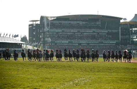 grand national each way  Claim Bet365 Offer