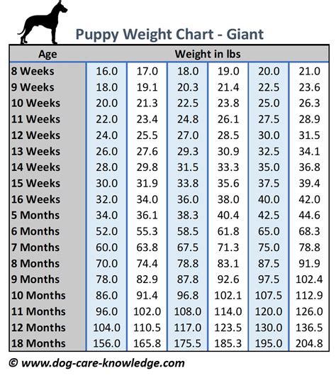 greyhound predictor  = black dog, w