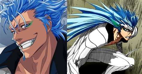 grimmjow’s claws  He currently seeks to defeat all 4 Acts of Order