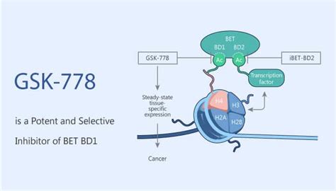 gsk778  All products from TargetMol are for Research Use