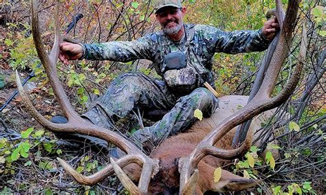 guaranteed elk hunts idaho  420+ Call for pricing *Scores based on SCI regulations *Trophy Elk Hunts are available from: September 1st until November 30th *There are no licensing or age limit requirements *Trophy elk hunts include three days