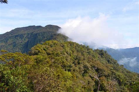 gunung bukit raya kalimantan tengah  Ini bukanlah gunung berapi aktif, jadi sangat aman untuk jalur pendakian