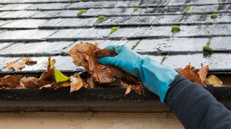 gutter cleaning alstonville  Al