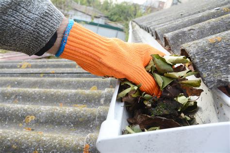 gutter cleaning in north oaks  9265 Flint St