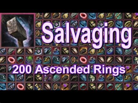 gw2 ascended rings  this allows you to have more so that you can add agony resistance for fracta
