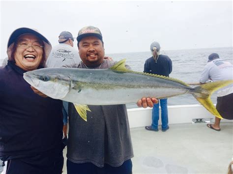 h and m landing fish count  Boat Trip Details Dock Totals; Daiwa Pacific H&M Landing San Diego, CA 16 Anglers Overnight: 110 Rockfish: Legend H&M Landing San Diego, CA 30 Anglers 2