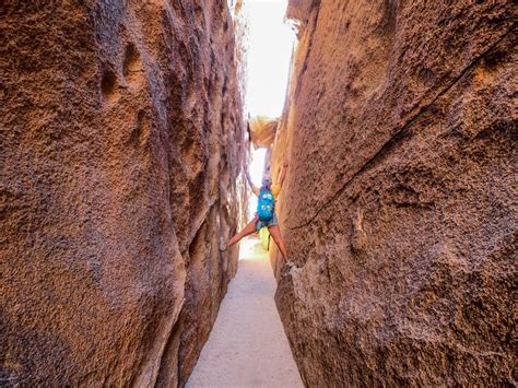 hall of horror joshua tree The Wonderland Connection