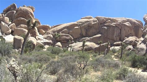 hall of horror joshua tree Day 1: Red Rock Canyon and Death Valley