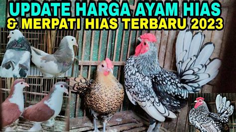 harga burung ayam ayaman 000