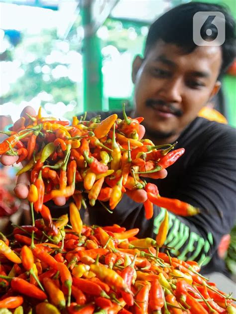 harga cabai com - Harga komoditas cabai semakin menjadi-jadi di penjuru Jakarta pada Minggu (19/6/2022)