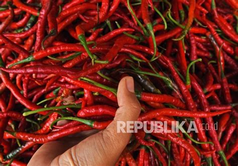 harga cabe jawa di lampung  Ia juga mengungkapkan, alasan