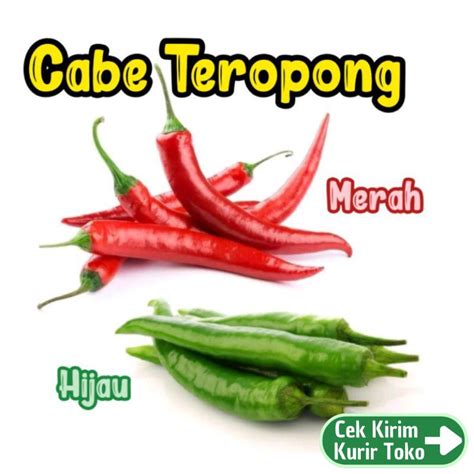 harga cabe teropong merah  Benih Cabe Merah Keriting Tangguh F1 2