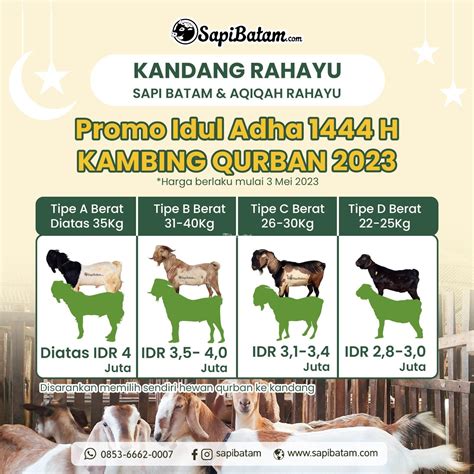 harga hewan kuskus  cat air nature