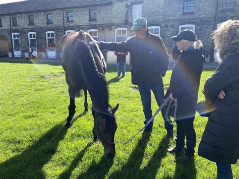 harry eustace stable tour  Free form print-outs