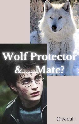 harry potter the wolf king fanfic  "So you know the red wolves are Sun, who is one the right, and Moon, who is one the left