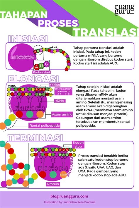 hasil sintesis protein  Dapat atau bisa dicontohkan dengan reaksi fotosintesis atau juga kemosintesis