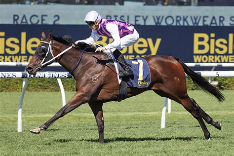 hawkesbury guineas market Sizzle Minizzle took down the best of the bush during The Championships, now trainer Brett Robb is ready to raise the bar again in Saturday‘s $200,000 Group 3 Hawkesbury Guineas (1400m) at Hawkesbury