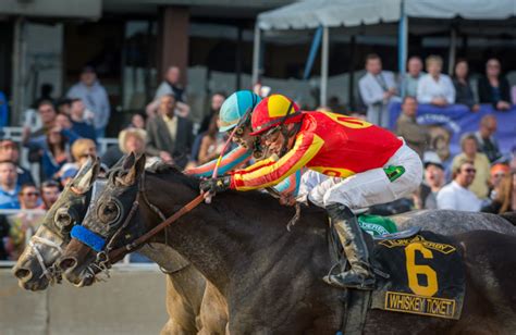 hawthorne race course Expert Selections