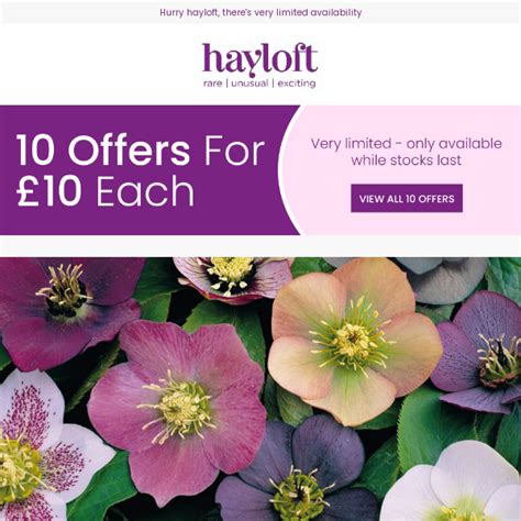 hayloft flowers  At the time of planting, amend the soil with a 5cm (2”) layer of