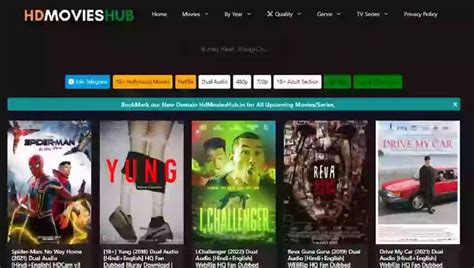 hdhub.in 2023  5 Check FilmyZilla Alternative Torent Web Sites List