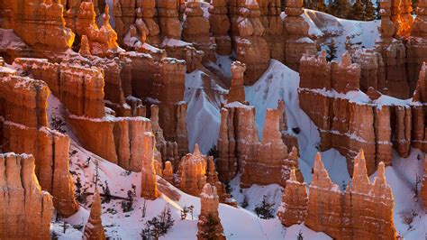 hebergement bryce canyon  Bryce Canyon is often 10-20 degrees cooler than Zion