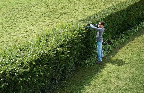 hedge trimming lismore  Start at the top edge, in line with the twine guide and gradually work down