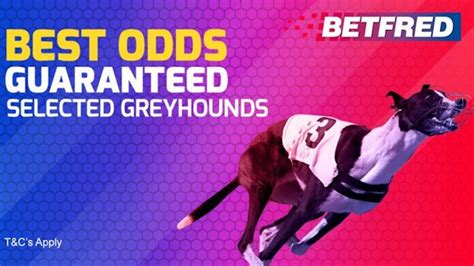 henlow greyhounds  Including details of recent head-to-head results, last results for each team, match odds