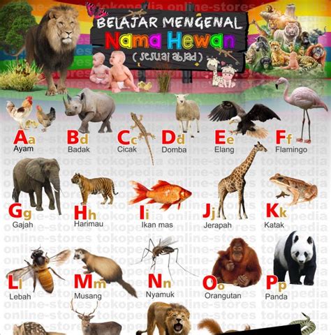 hewan berawalan huruf e bahasa indonesia By Diajeng Lekha Posted on November 24, 2023